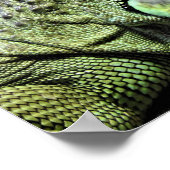 Poster Iguana verte (Coin)
