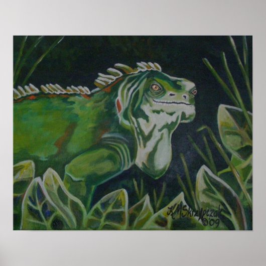 Poster Iguana verte (Devant)