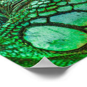 Poster Iguana verte (Coin)