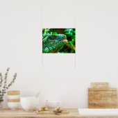 Poster Iguana verte (Cuisine)