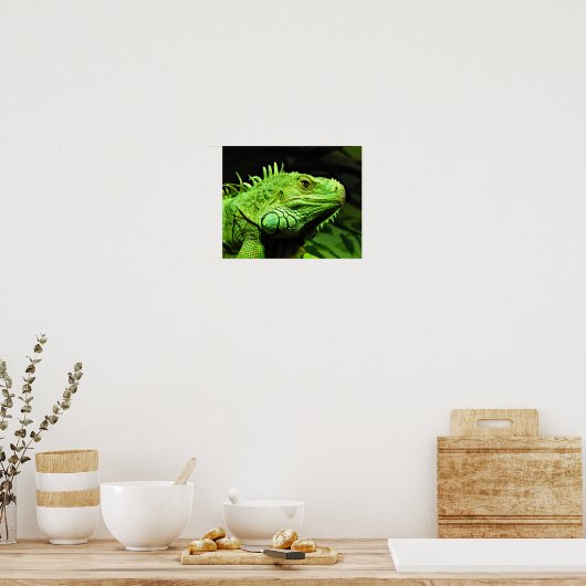 Poster Iguana verte (Cuisine)