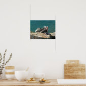 Poster Iguane à St. Thomas (Cuisine)