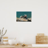 Poster Iguane à St. Thomas (Cuisine)