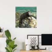 Poster Iguane sur les rochers à St. Thomas (Bureau à domicile)