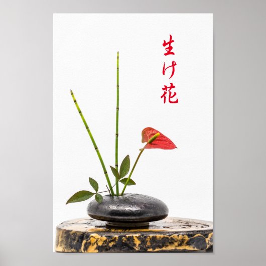 Poster Ikebana (Devant)
