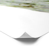 Poster Ikura (Saumon Roe) Gunkan Maki Sushi (Coin)