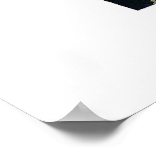 Poster il gondoliere (Coin)