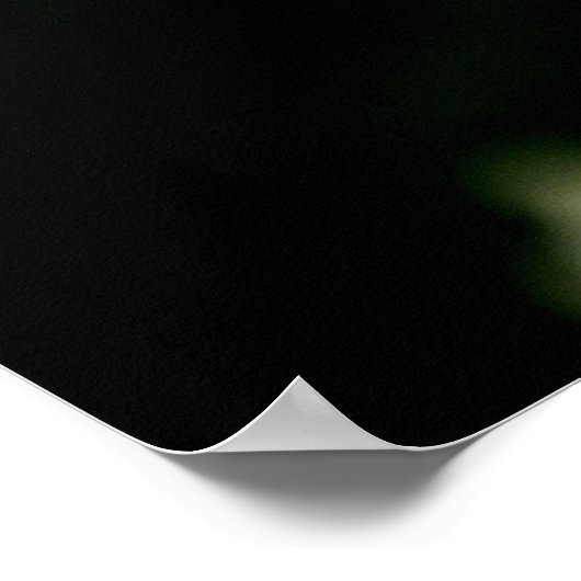 Poster Il M'Aime, Il Ne M'Aime Pas (Coin)