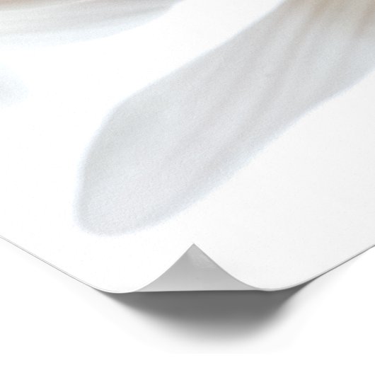 Poster Il M'Aime... Il Ne M'Aime Pas (Coin)