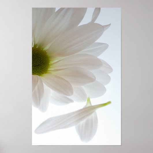 Poster Il m'aime...Il ne m'aime pas (Devant)