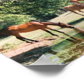 Poster Il me conduit à côté des eaux calmes ... (Coin)