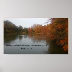 Poster Il me mène près des eaux de Stil