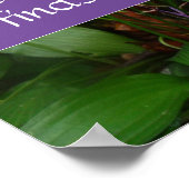 Poster Il ne regarde pas avant la sagesse dire (Coin)