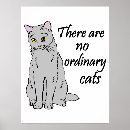 Poster Il N'Y A Pas De Chats Ordinaires (Devant)