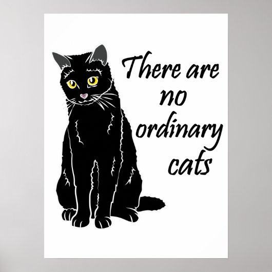 Poster Il N'Y A Pas De Chats Ordinaires (Devant)
