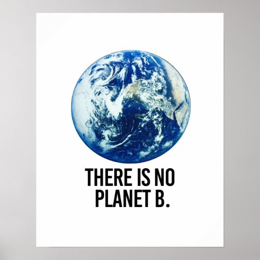 Poster Il n'y a pas de planète B (Devant)