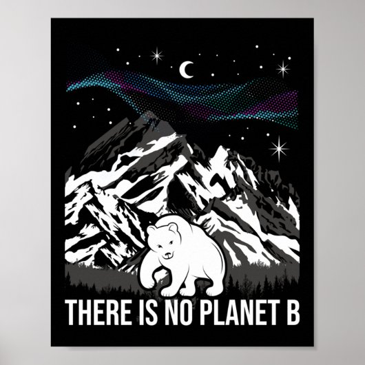 Poster Il N'Y A Pas De Planète B - Protection De l'enviro (Devant)