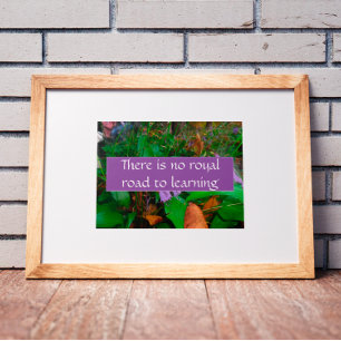 Poster Il n'y a pas de route royale pour apprendre l'affi