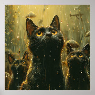 Poster Il pleut des chats et des chiens ?