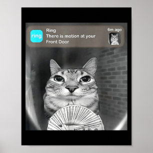 Poster Il y a un mouvement à la porte d'entrée drôle chat