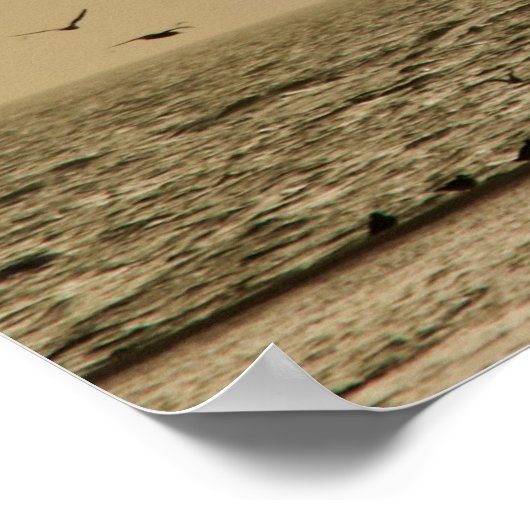 Poster Île aux oiseaux (Coin)