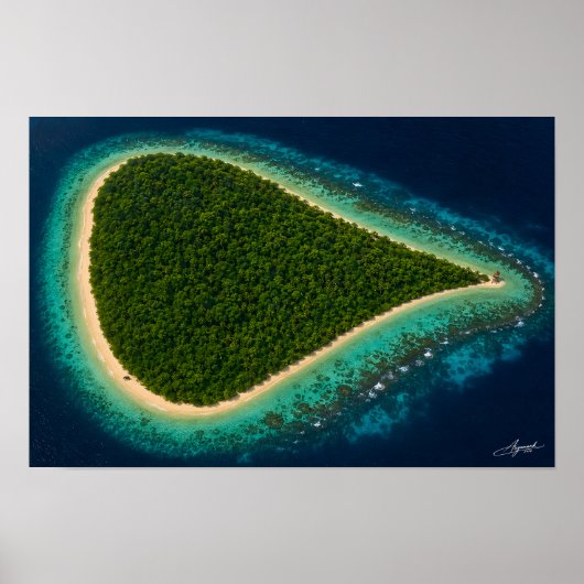 Poster Île de la jungle en forme de larme avec satellite (Devant)
