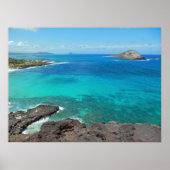 Poster Île de lapin (Devant)