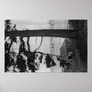 Poster Île de Lopez, WA - bateaux de pêche dans la baie