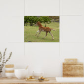 Poster Île de Pâques alias Rapa Nui (Cuisine)