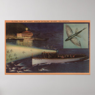 Poster Île de Père Noël Catalina, casino de CA, poisson