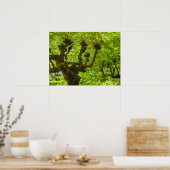 Poster Île de Sao Miguel (Cuisine)