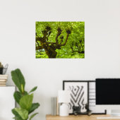 Poster Île de Sao Miguel (Bureau à domicile)