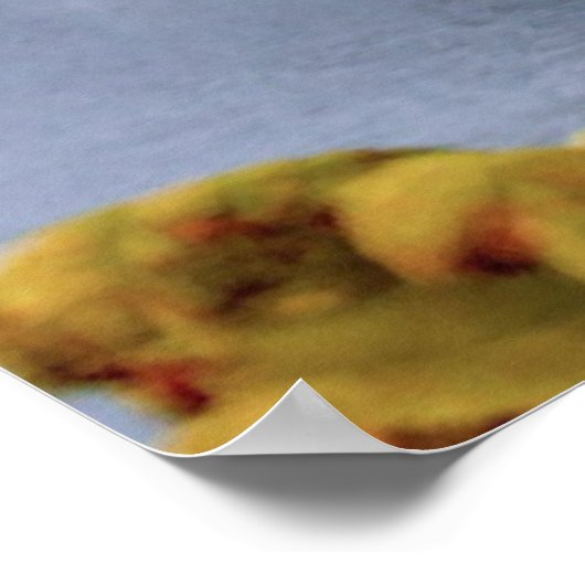 Poster Île de Skye, Écosse (Coin)