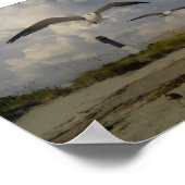 Poster Île de Sullivans, SC (Coin)