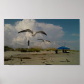 Poster Île de Sullivans, SC (Devant)