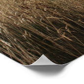 Poster Île de Whithorn Tower, Écosse (Coin)