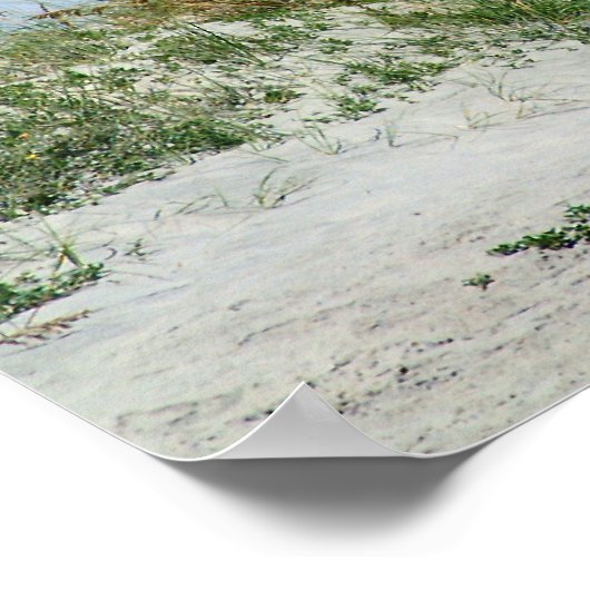 Poster Île des Palmes (Coin)