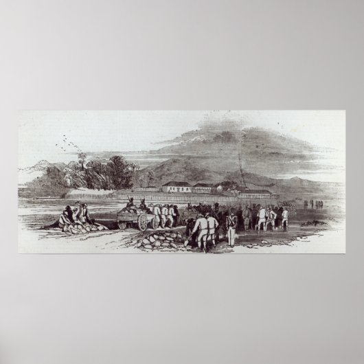 Poster Île Norfolk (Devant)