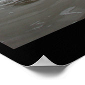 Poster Île Padre - Janvier 2004 (Coin)