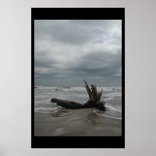 Poster Île Padre - Janvier 2004 (Devant)