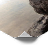 Poster Île Spirit (Coin)