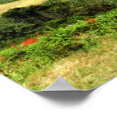 Poster Iles des Açores, Portugal (Coin)