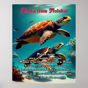 Poster Iles hawaïennes Molokai Aloha