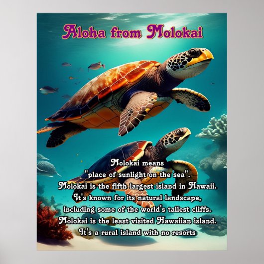 Poster Iles hawaïennes Molokai Aloha (Devant)