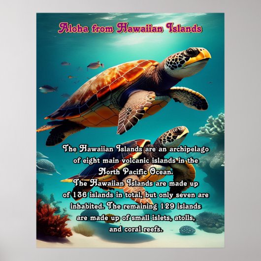 Poster Iles hawaïennes terre d'Aloha (Devant)