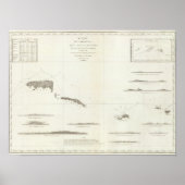 Poster Îles Samoan (Devant)