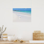 Poster Îles Turques et Caïques (Cuisine)