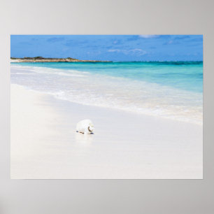 Poster Îles Turques et Caïques