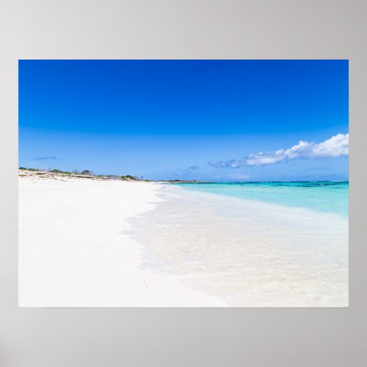 Poster Îles Turques et Caïques (Devant)