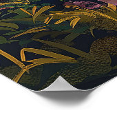 Poster Îles Vierges britanniques (Coin)